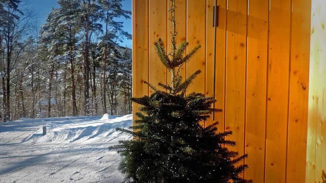 Forest Inn – outside – photo 3