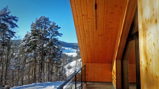 Forest Inn – outside – photo 6
